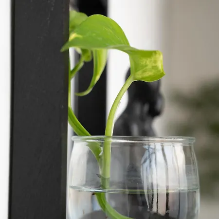 Duecento 3* باليرمو